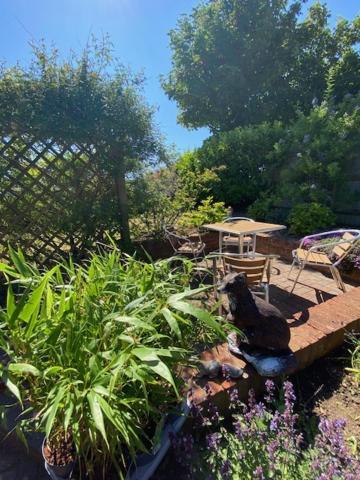 2 Bed Retreat With Amazing View Hove